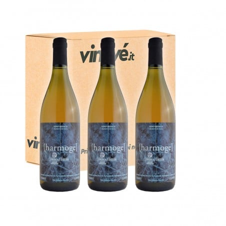 Harmoge - Primaterra (Pack 3 bottiglie) Vinové PRIMATERRA WALTER DE BATTE'