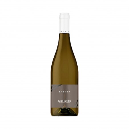 Alto Adige Sauvignon Doc - Raetia