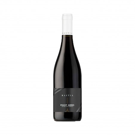 Alto Adige Pinot Nero Doc - Raetia